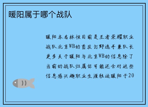 暖阳属于哪个战队